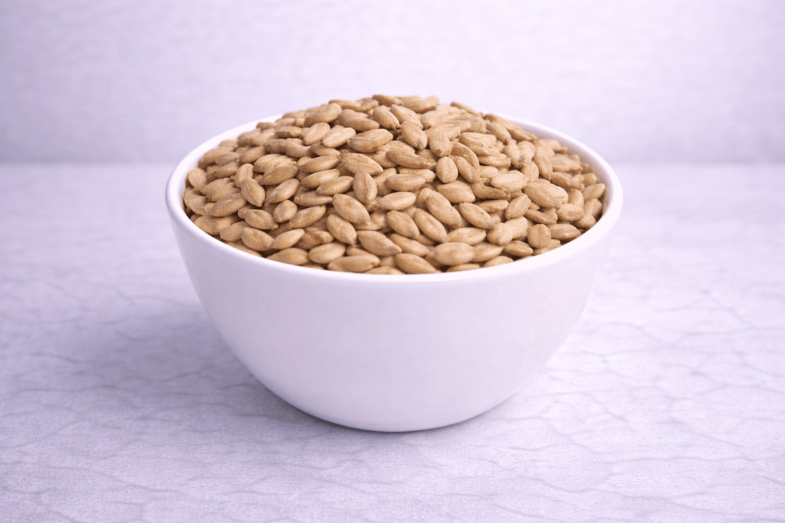 Sunflower seed